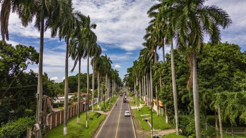 Calzada Las Palmas en Retalhuleu, Guatemala