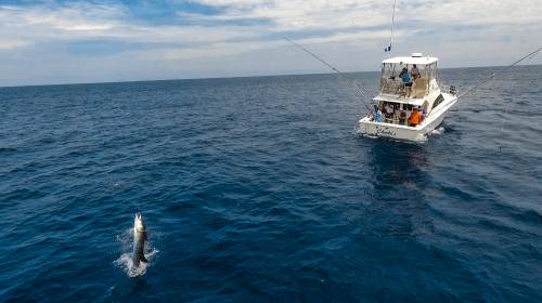 Torneo Internacional de Pesca Guatemala, Costas del Pacífico