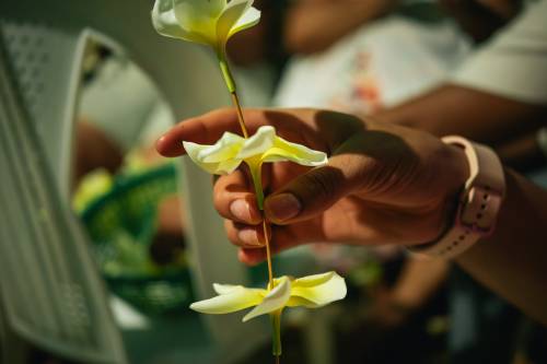 Isla de Flores, Petén 