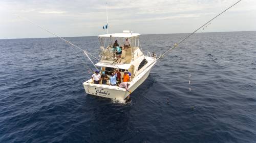 Torneo Internacional de Pesca Guatemala, Costas del Pacífico