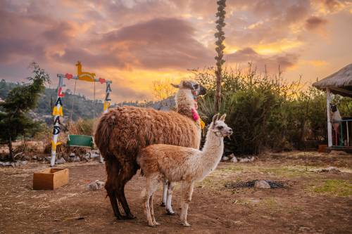 Todos Santos Cuchumatán, Huehuetenango