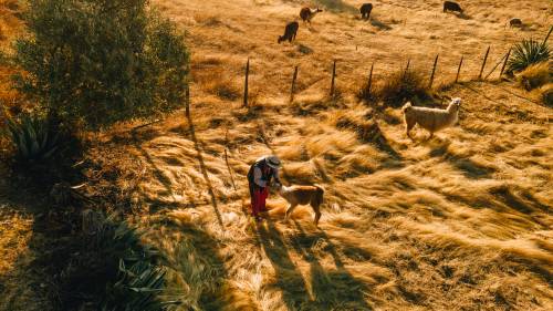 Todos Santos Cuchumatán, Huehuetenango